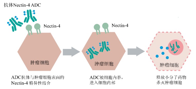 资讯1-2